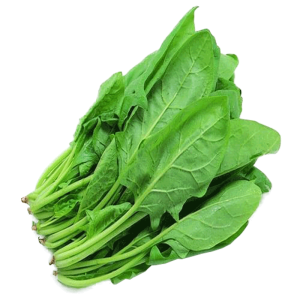 Spinach Leaves